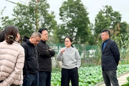 区规划资源局赴华亭镇开展 “15分钟社区生活圈”专题调研