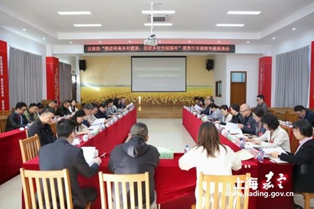 区政协来华亭镇开展委员年末视察